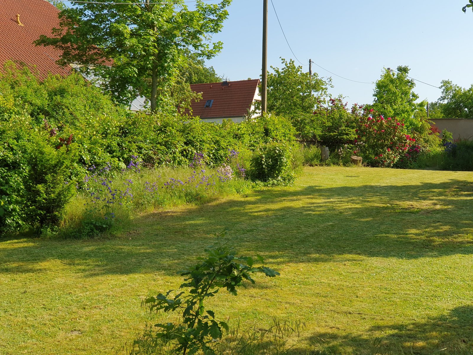 LivingHaus – Dein maßgeschneidertes Zuhause voller Lebensqualität und moderner Technik
